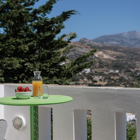 Halcyon Suites And Villas Naxos Agios Thaleleos 外观 照片