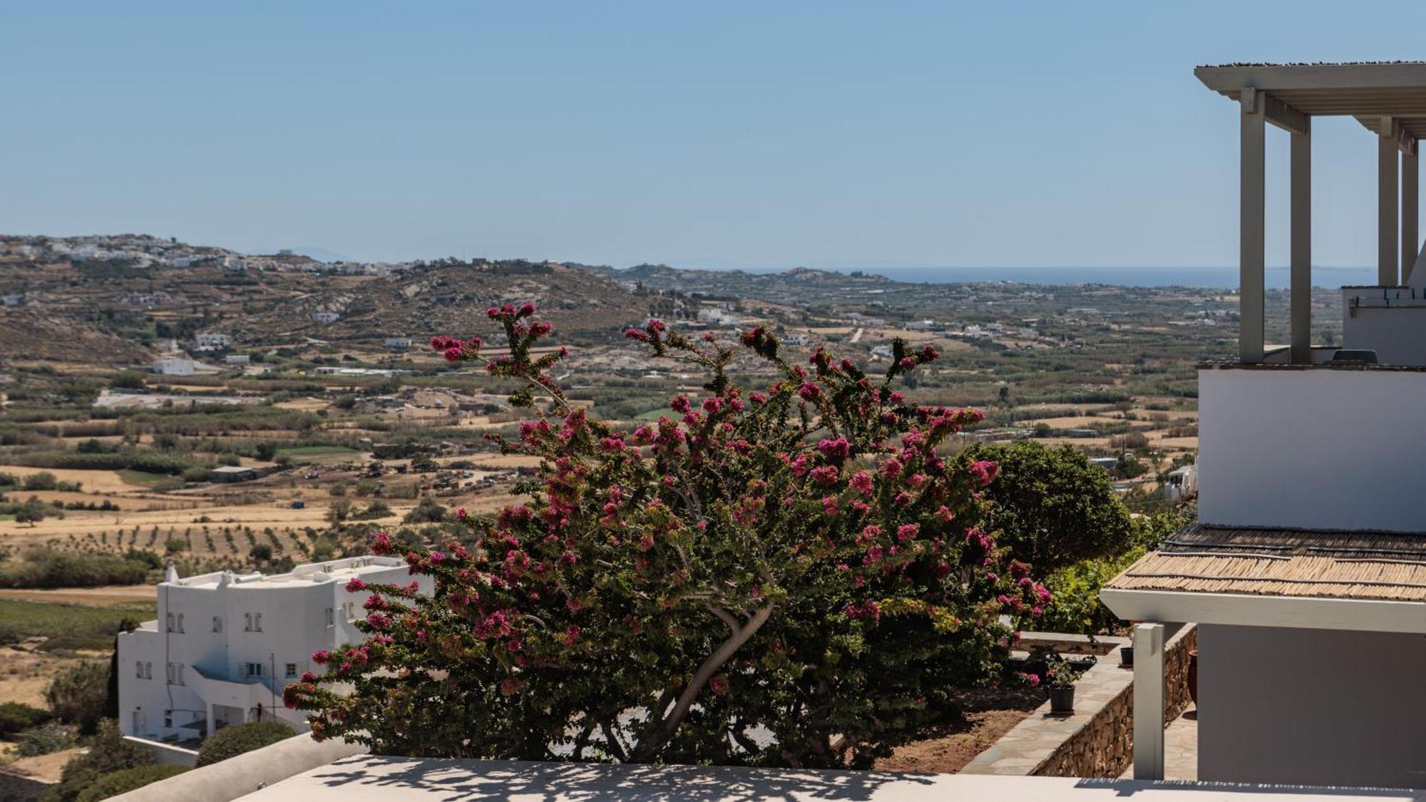 Halcyon Suites And Villas Naxos Agios Thaleleos 外观 照片